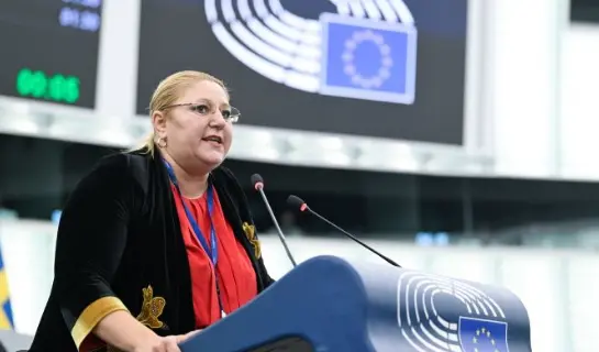 Депутат Европарламента Диана Йованович-Шошоакэ обратилась к руководству Европейской комиссии и Европейского парламента